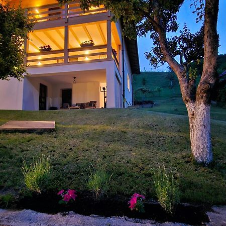 Casa Mara Viseu De Sus Hotel Bagian luar foto