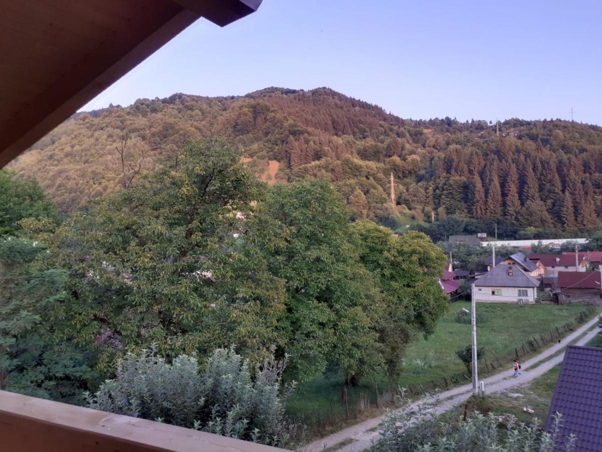 Casa Mara Viseu De Sus Hotel Bagian luar foto