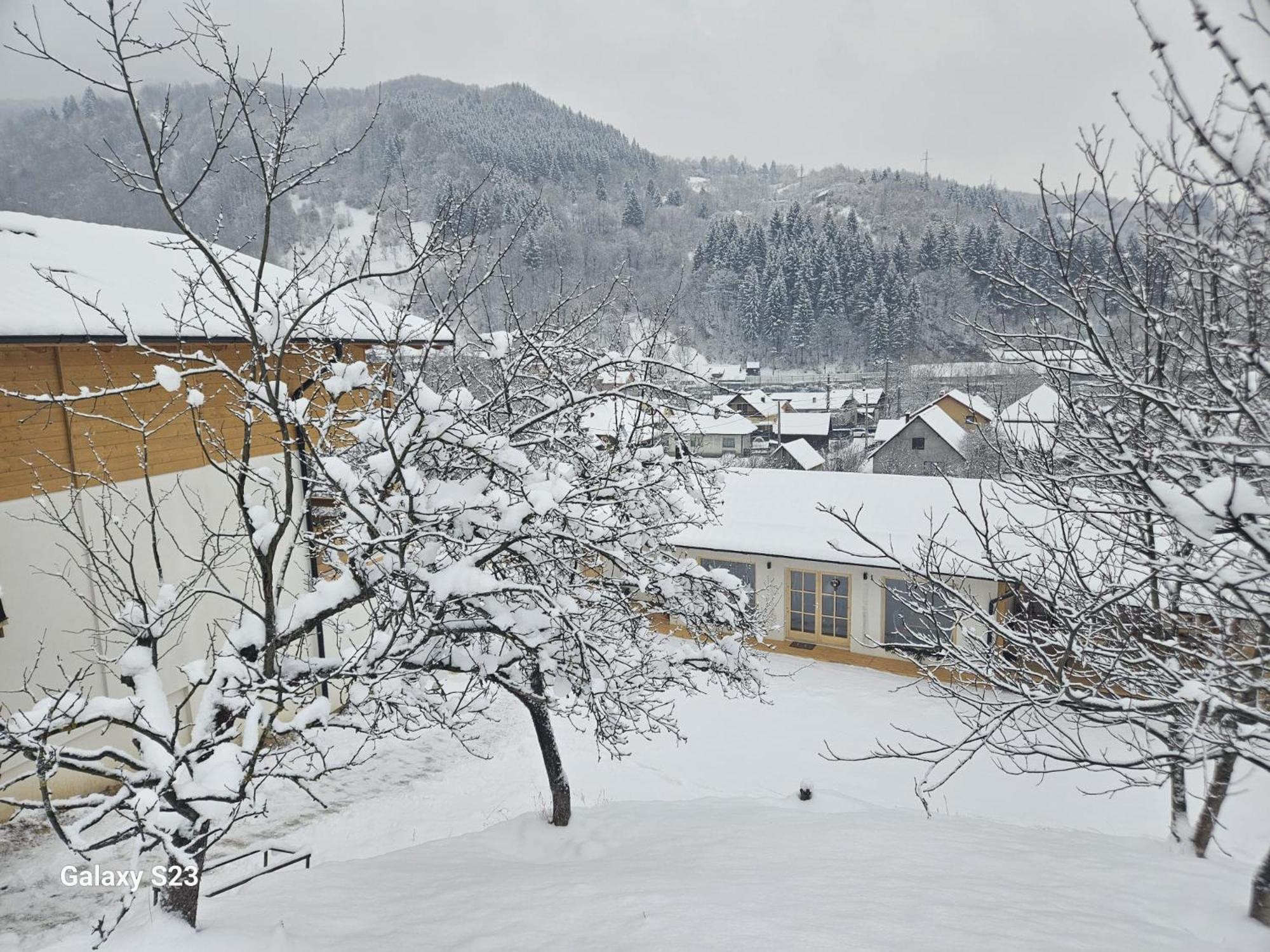 Casa Mara Viseu De Sus Hotel Bagian luar foto