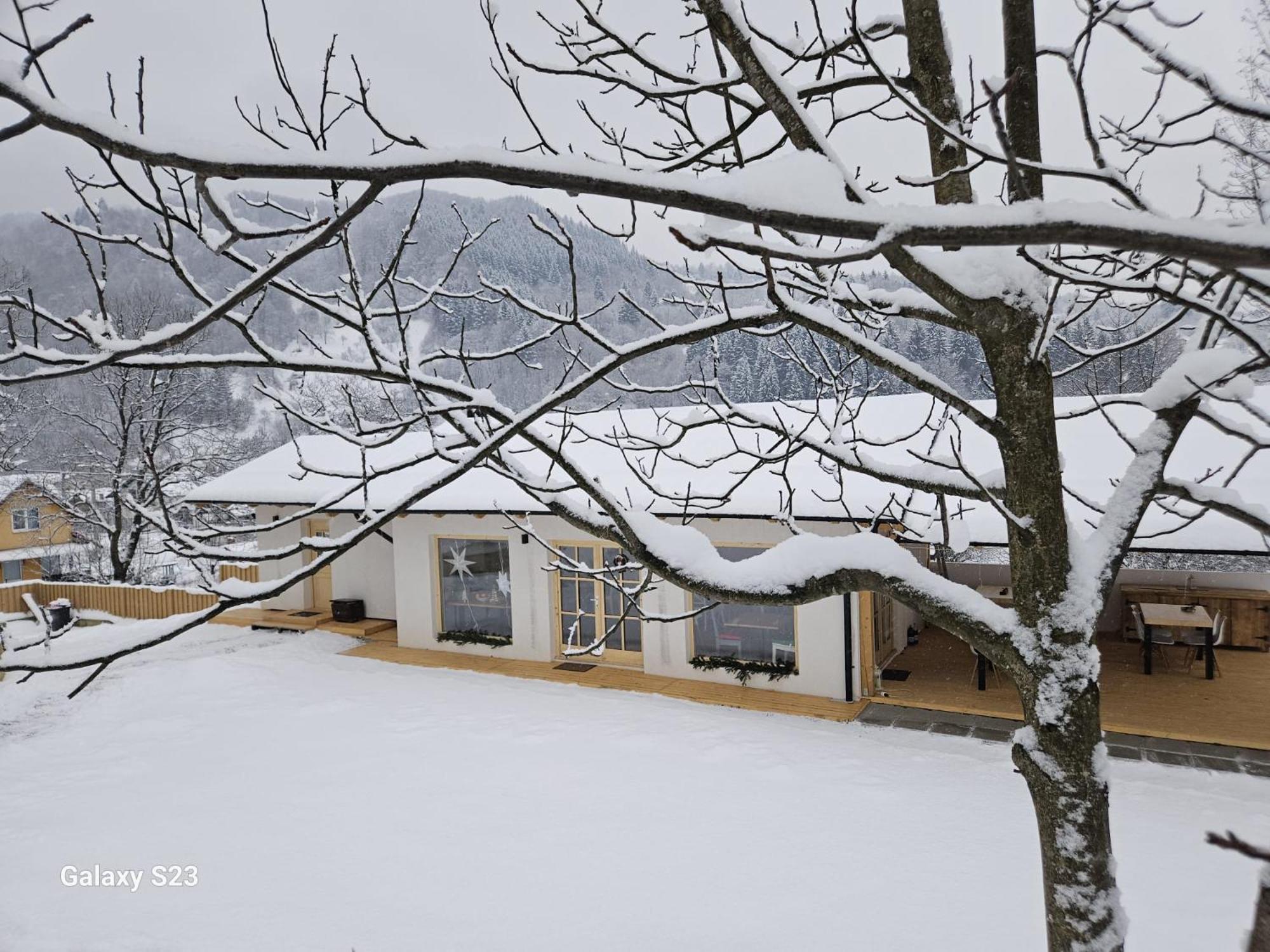 Casa Mara Viseu De Sus Hotel Bagian luar foto
