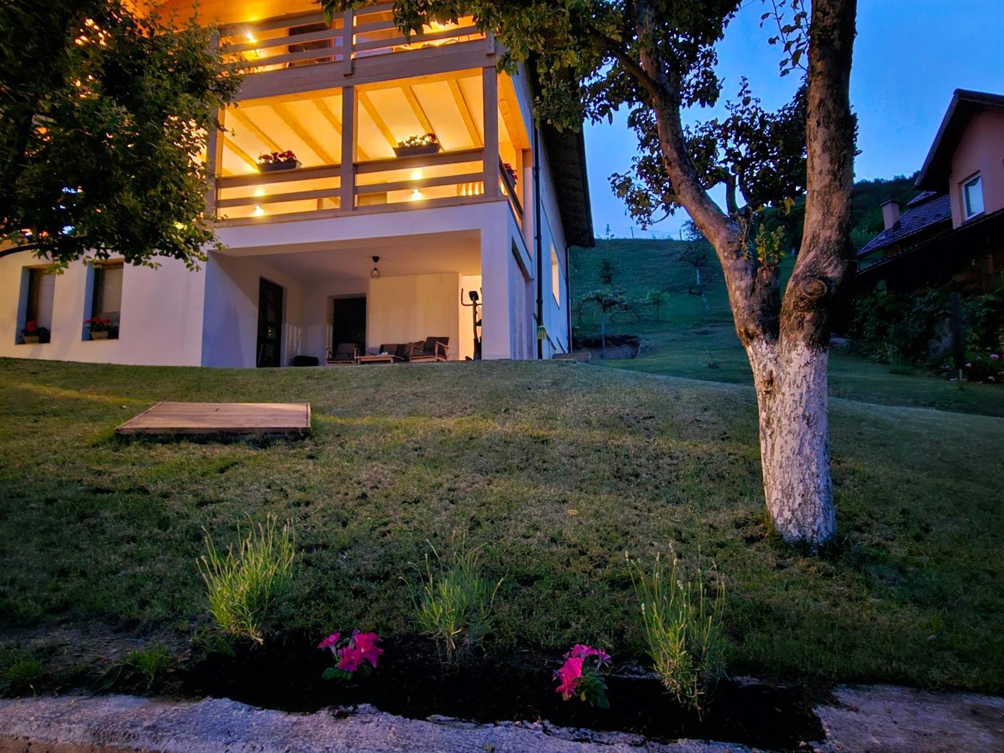 Casa Mara Viseu De Sus Hotel Bagian luar foto