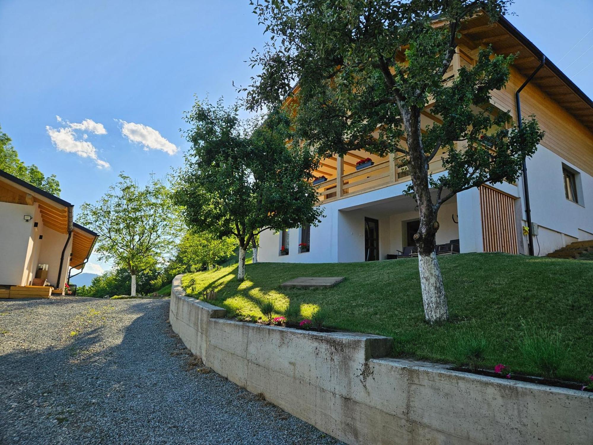 Casa Mara Viseu De Sus Hotel Bagian luar foto